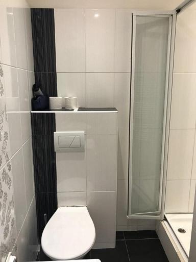 Stara Louka Apartments Karlovy Vary Luaran gambar